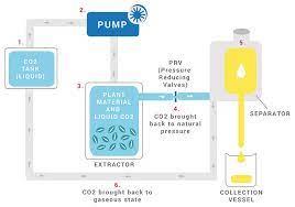 A Comprehensive Guide To Essential Oil Extraction Methods