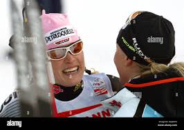 Viola cross hi-res stock photography and images