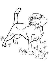See the presented collection for beagle coloring. Beagle Coloring Pages Beagle Coloring Page Pic 20 Sild Life Horse Coloring Pages Puppy Coloring Pages Dog Coloring Page
