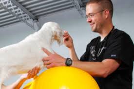 Niehm was associated with calumet emergency veterinary clinic in hammond, indiana. Partner Hospitals Careers In Veterinary Medicine