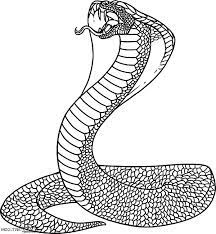 This coloring page is a derivative work. Indian King Cobra Coloring Pages Kids Play Color