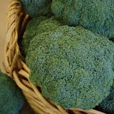 Check spelling or type a new query. Broccoli Horticultural Products Services