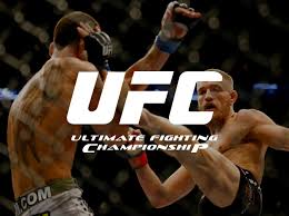 Resultado de imagem para UFC - ULTIMATE FIGHTING CHAMPIONSHIP