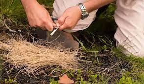 You can use dry grass, leaves, small sticks, and bark. How To Start A Fire Without Matches Definitive Guide