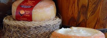 Torta del casar soft cheese, d.o.:the fabled torta del casar is an incredibly rich, intensely flavorful cheese from extremadura. Torta Del Casar Pdo Foods And Wines From Spain