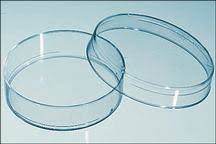 Fisher Scientific 08757100d Mckesson Medical Surgical Falcon® disposable petri dishes, sterile, corning®. mckesson medical surgical