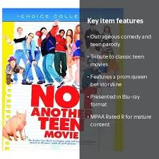 Not Another Teen Movie (Blu-ray) - Walmart.com