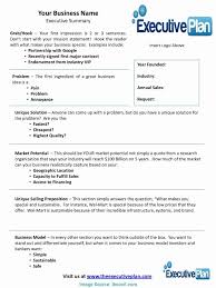 Seo Report Templates Executive Summary Template Business Plan Template Executive Summary