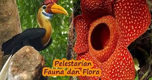 Usaha untuk mengurangi dampak perubahan iklim global terhadap punahnya berbagai jenis flora dan fauna yaitu dengan cara. Upaya Upaya Pelestarian Flora Dan Fauna Konsep Geografi