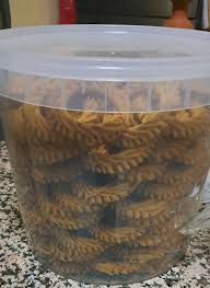 أحلى كعك مسفيوي من عند الغالية...