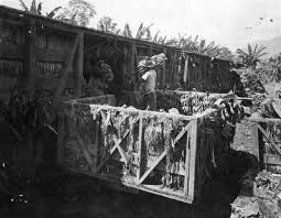 En el año de 1904, ingresó la ufco a guatemala, por medio de la compra de 35 caballerías en la selva de izabal, cerca del sitio arqueológico de quiriguá. United Fruit Company Photograph Collection Photography Collections Historical Collections Harvard Business School