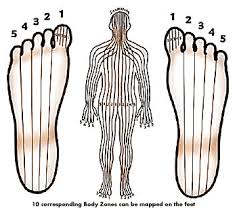 10 Important Zones In Reflexology Archives Modern Reflexology