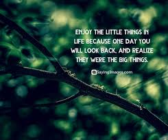 We did not find results for: Inspirational Life Quotes To Live Is To Persist Sayingimages Com