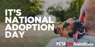 People for the ethical treatment of animals (peta) is an american animal rights organization often embroiled in while peta claims the animals it takes in and kills are unadoptable, this is a lie. Peta Kills Animals Peta Kills Twitter