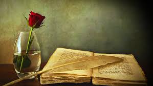 We did not find results for: Mawar Pena Bulu Buku Bunga Vas Karya Seni Lukisan Bunga Merah Wallpaper Hd Wallpaperbetter