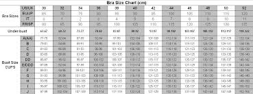Bra Size Chart Breast Sizes In Inches And Centimeters