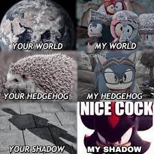 Sonic thw heghog is my favorite | Nice Cock / Cock Rating | Know Your Meme