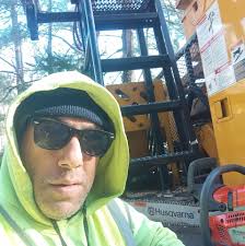 reliable tree service in old saybrook?