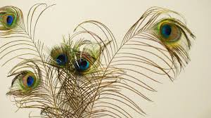 “Revelation”: Flannery O'Connor Goes Zoom