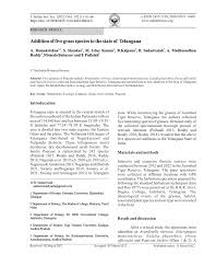 Image result for Enteropogon monostachyos