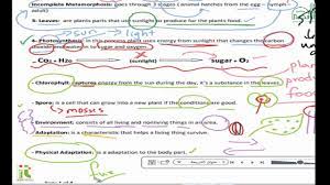 4th grade science worksheets the 4th grade curriculum covers a very broad range of topics. Grade 4 Science Worksheet Unit Youtube