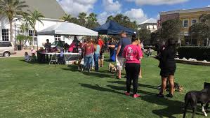 Affordable walk in pet clinic. Humane Society Of St Lucie To Host Low Cost Walk In Clinics