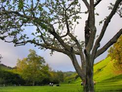 Check spelling or type a new query. Ebrpd Garin Dry Creek