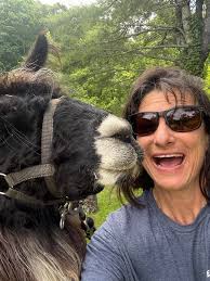 How to become a tour guide or real estate agent in Italy?