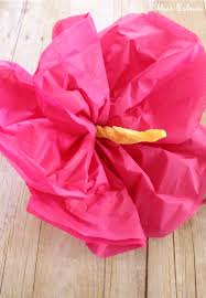 Dont panic , printable and downloadable free home dzine craft ideas crepe paper roses we have created for you. Quick And Easy Paper Hibiscus Flowers
