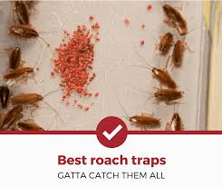 Looking for the best roach traps? Top 5 Best Cockroach Traps 2021 Review Pest Strategies