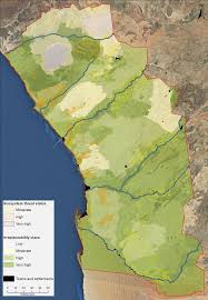 Image result for Corbichonia rubriviolacea