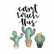 Can T Touch This Cacti With Calligraphy Cute Calligraphy Cactus Drawing Cactus Quotes
