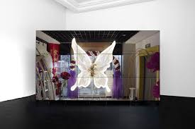 Bildergebnis für Shuang Li