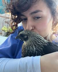 Ryu-chan (@ryuchickachan) • Instagram photos and videos