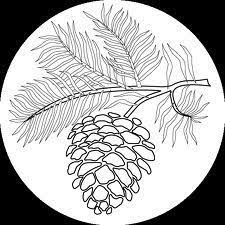 Pinecone Tracing Wood Burning Art Stained Glass Patterns Pine Cones