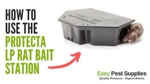 My name is nicholas martin, i am a consultant for private pest control agencies, and from my gained experience for the past 25 years, i am sure i will guide you with. 8 Best Rat Poisons In 2021 Detailed Reviews