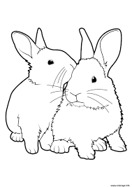 Dessin lapin dessin noir et blanc dessin au crayon peinture dessin papier blanc croquis animaux coloriage animaux dessins faciles animaux adorables. Coloriage Lapins Ensemble Realiste Dessin Lapin A Imprimer