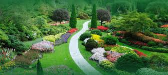 A pool on the front, high rising walls with a dedicated space to the long and narrow garden, this house is just perfect on everything. Professional Garden And Lawn Landscaping Services In Karachi Pakistan Greenlife