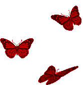 Butterfly gif butterfly gif decorative decoration symbol decor background artistic element ornament template colorful ornate backdrop nature modern bright natural contemporary floral icon eps10. Animated Gif Butterfly Flying Gifs Tenor