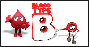 Hasil gambar untuk gambar golongan darah B