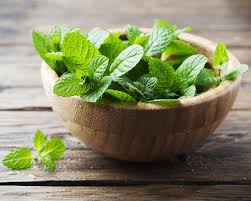 Peppermint oil is the essential oil taken from the flowering parts and leaves of the peppermint plant. How To Buy And Store Mint Epicurious