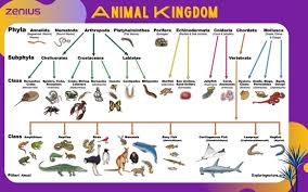 Kucing anggora, kucing persia, kucing sphinx. Ciri Ciri Dan Klasifikasi Makhluk Hidup Zenius Blog