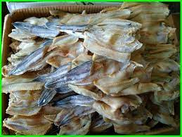 Nak guna ikan masin jenis yang lain pun tak ada salahnya asalkan ikan masin tersebut haruslah dalam bentuk 'agak basah' supaya mudah untuk di tumbuk dan boleh sebati dengan sayur kailan. 10 Jenis Ikan Asin Yang Enak Dan Sedap Sudah Coba Semua Dunia Fauna Hewan Binatang Tumbuhan Dunia Fauna Hewan Binatang Tumbuhan