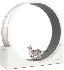 Katze macht immer wieder auf den teppich. Elmato 10721 Simba Xxl Katzenlaufrad Komplett Kaufland De