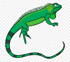 Animal Cartoon Png Download 800 800 Free Transparent Green Iguana Png Download Cleanpng Kisspng Vector free, dinosaur stuffed animal, dragon, cartoon, animals, drake, cartoons, comic. animal cartoon png download 800 800