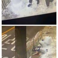 나경원 오늘 아들 훈련소 입대…'국내 출산' 의사 소견서 인증. 6ndftt9vlelfhm