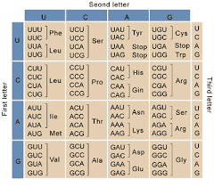 chart of code