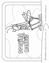 Also you can search for other artwork with our tools. Praying Mantis Coloring Page Best Of Florida S Finest Lawn Pest Control S Coloring Book For Kids
