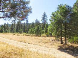 Rare Hat Creek Frontage California Outdoor Properties