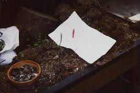The photos come from four recently discovered rolls of film. Seattle Police Release New Pictures From Kurt Cobain S Death Scene